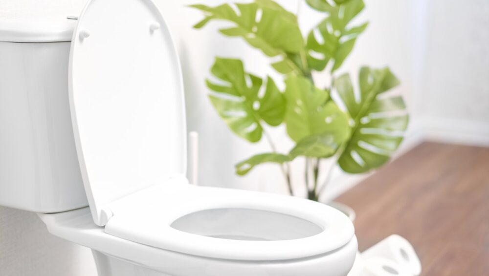 Photo of clean white toilet with lid open and a green plant in the background