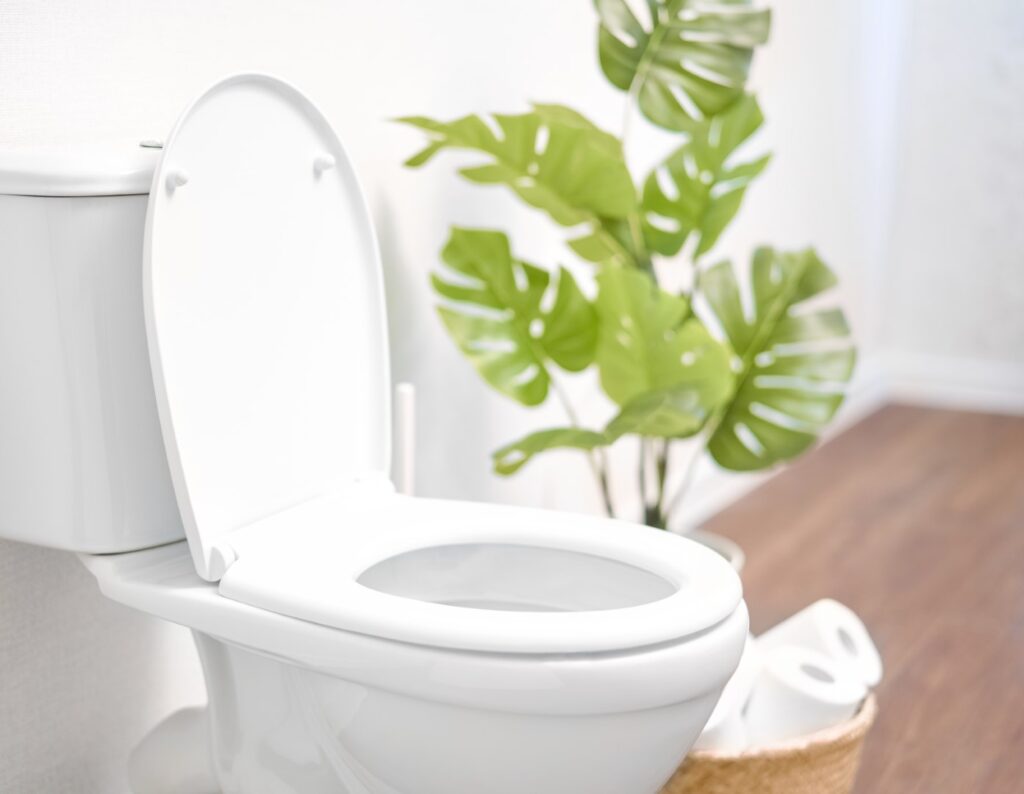 Photo of clean white toilet with lid open and a green plant in the background