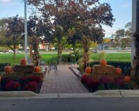 Front of Manoogian Manor decorated for Halloween.